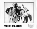 Artist: The Fluid - Photograph: Mike Levine