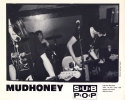 Artist: Mudhoney (5) - Photograph: Sydney Taylor