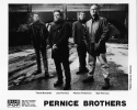 Artist: Pernice Brothers - Photograph: Dennis Kleiman