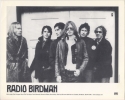 Artist: Radio Birdman - Photograph: Adrian Boot