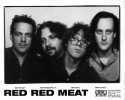 Artist: Red Red Meat (1) - Photograph: 