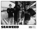 Artist: Seaweed (3) - Photograph: Chris Cuffaro