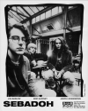 Artist: Sebadoh (1) - Photograph: Steve Gullick